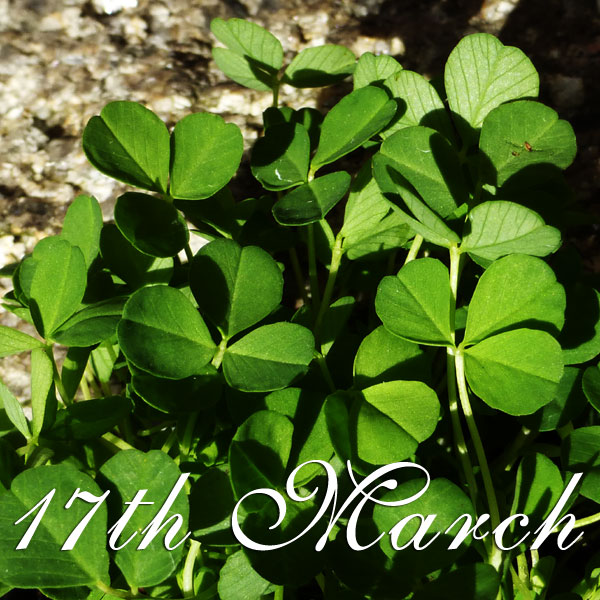 17th March - St Patrick's Day